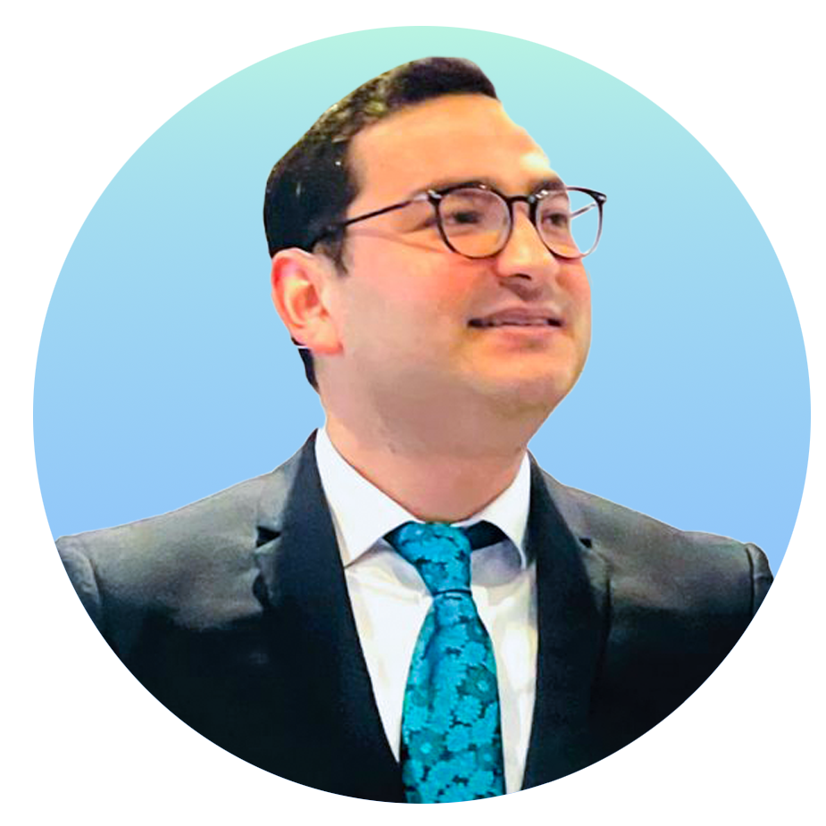 useful description of image if informative and not decoration only.